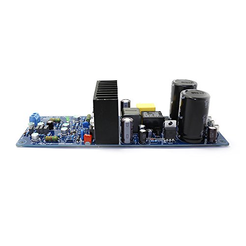 Module amplificateur mono L15D-POWER pour fabriquer un caisson de basse 300W