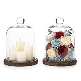 MyGift Clear Cloche Glass Dome