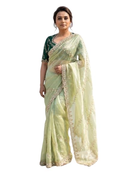 Pastel Green Saree with Heavy Embroidery Work, SOFT GOLD CRUSH, Embroidered Border and Pallu, Full Embroidery Blouse-image-1