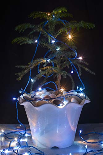 Image of Lexton LED String Light 42 Meter (Blue)