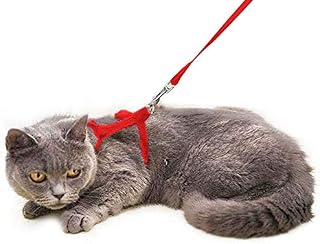 Sadocom Escape Proof Cat Set of Harness and Lead -Soft Adjustable Nylon Leash - Best for Kitten Rabbits Puppy Walking