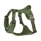 Arnés para Perros Sunraymascota No Pull con Acolchado Suave de Licra, Chaleco cómodo de Malla Transpirable, tamaño Ajustable para Razas pequeñas, Medianas y Grandes, Paseos Seguros (Verde Niebla, S)