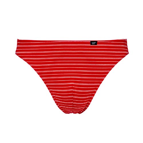 [ビー・ブイ・ディ] ブリーフ BVD Tバック 綿混 ベア天竺 BIKINI ミニマルボーダー GR183GTS メンズ レッド L