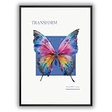 MJ-GRAPHICS® Poster Bunter Schmetterling Tierbild 