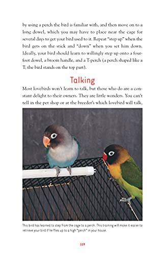 Lovebirds: A Guide To Caring For Your Lovebird (Companionhouse Books) Selecting, Caring For, And Maintaining Well-Behaved, Happy Pet Birds (Complete Care Made Easy) #TOP7