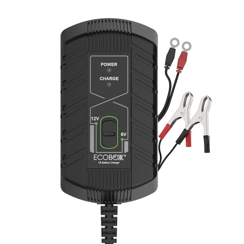 Infinity 1A Battery Charger, 6V / 12V, 3 Stage Charging, Battery Maintainer, Trickle Charge for Lead Acid, Gel, Lithium-ion, STD Batteries in Car, RV, Motorcycle, ATV, Boats