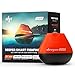 Sondeur Pêche Portable Détecteur Poisson Kayak - Sondeur Profondeur 3-100m - Transducteur 45° - LCD Détecteur Poissons Sondeur