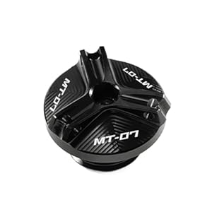 41p17tybybl. sl500 . ss300