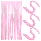 HOUDERCO フリンジ背景カーテン 4枚セット ホイルフリンジカーテン 誕生日パーティーや独身パーティー用の装飾 写真撮影用背景として活用可