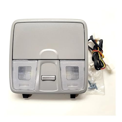 Luz de lectura Hyundai con caja de gafas gris para solucionar fallos de techo