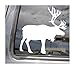 Produktbild Lplpol Rentier Caribou Arctic Tundra Sibirien Autos Trucks Moped Helm Auto Automotive Craft Laptop Vinyl Aufkleber Fenster Wand Aufkleber 15,2 cm