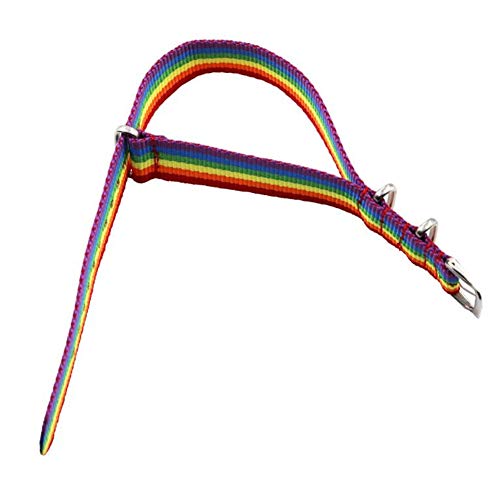 Nanafast Rainbow Bracelet Lgbt Pride Bracelet For Gay & Lesbian Adjustable Wristband For Men Women 22Mm #TOP3