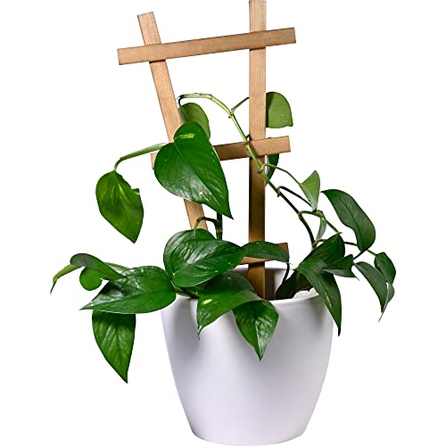 dobar Green Label 29185FSCe Sorento - Juego de 4 enrejados de Madera, 19 x 1,4 x 39 cm, Soporte para Plantas, tamaño M, marrón