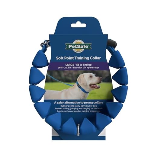 PetSafe Soft Point No-Pull Dog Training Collar, Royal Blue, 1 in, Large