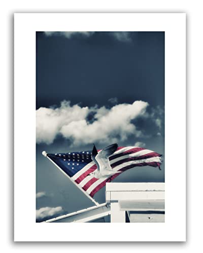 Affiche imprimée Bird Of Liberty, grand poster photo Fine Art et décoration maison moderne
