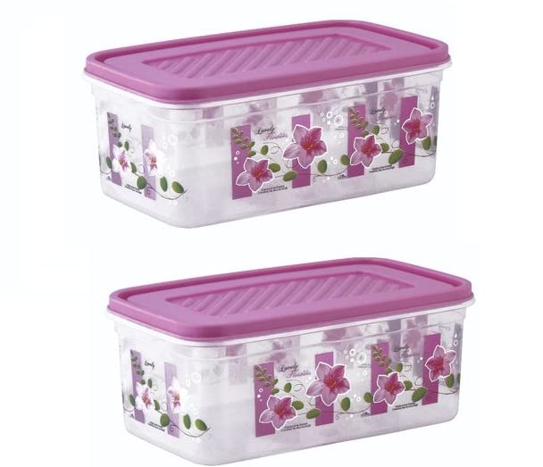 Blumfye Plastic Small Container for Home/Kitchen/Office, Set of 2, Printed, 2500 ml Container, Multicolor, Made in India