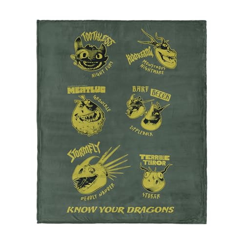 Northwest How to Train Your Dragon Know Your Dragons Silk Touch Throw Blanket 40x50 inches