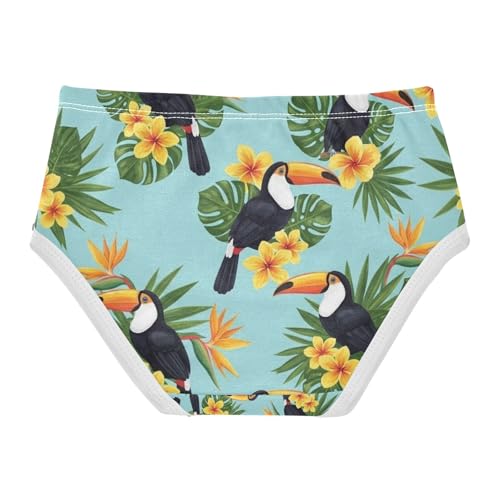Tropical Toucans Undies for Toddler Girls, Girls Cotton Underwear, 2T–8 Years2