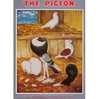 The pigeon B0006AVPJY Book Cover