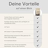 MAGNUSSONs Innekatt (1 x 4,8kg) | Katzentrockenfutter für Erwachsene Hauskatzen mit geringem Energiebedarf | 65% Fleischanteil | Ofengebacken