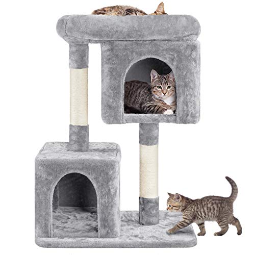 10 Best Rated Cat Trees