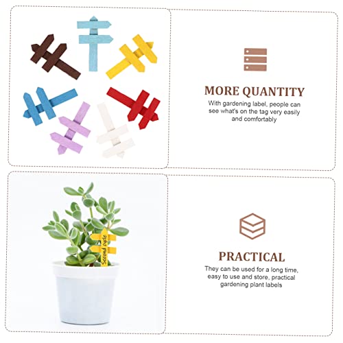 Happyyami 20 Unidades Rótulo Da Planta Decoração De Flores Decoração De Casa Plantadores Suculentos