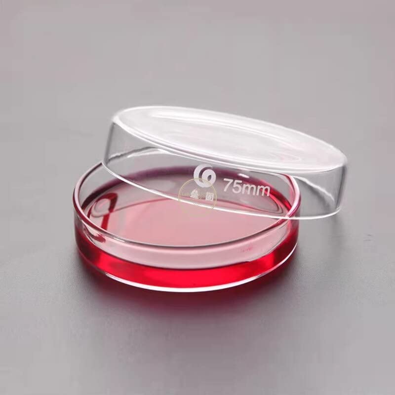 Placas de Petri de Vidrio Transparente con Tapas Microorganismos Célula Instrumento químico estéril Transparente Envío de la Gota Placas de Petri (Size : 90mm 5pcs)