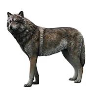 神似狼 51XfrKfvB0L._UF350,350_QL80_.jpg