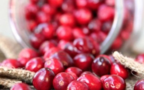 Elegant Brie Creamy Baked Brie En Croûte Gourmet Puff Pastry Easy Frozen Bake At Home Cheese Appetizer (Single Leaf Design/Cranberry Pecan Brown Sugar Cinnamon, 12Oz) #TOP4