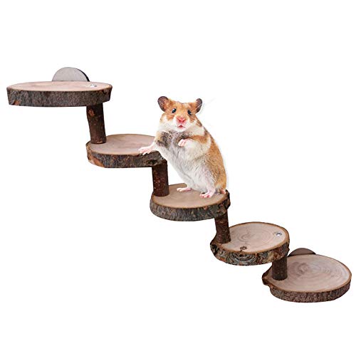 Hamster Spielzeug aus Holz, Hamster Holzleiter Hamstertreppe Brücke, Hamsterleiter Naturholz, Hamstertreppe, Suitable for Hamsters, Mice, Gerbils, Rats, Squirrels, Guinea Pigs, Parrots (5 Etagen)