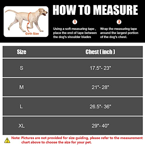 Service Dog Vest Harness And Leash Set, Animire In Training Dog Harness With 8 Dog Patches, Reflective Dog Leash With Soft Padded Handle For Small, Medium, Large, And Extra-Large Dogs #TOP3