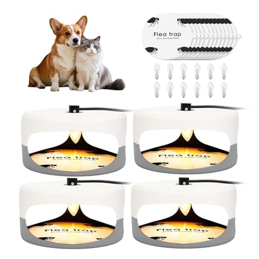 Indoor Flea Traps for Effective Pest Control