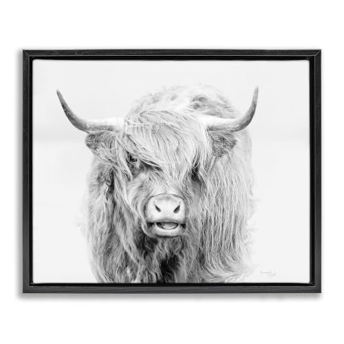 Expressive Highland Cattle Portrait, 16 x 20 Inch Canvas in Floater Frame