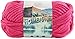 Lion Brand Yarn 135-400 Hometown USA Yarn, Neon Pink