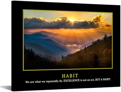 KREATIVE ARTS Motivational Quotes Canvas Wall Art - Excellence is...