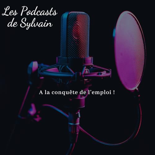 A la conqu&ecirc;te de l'emploi ! cover art