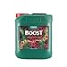 Produktbild Canna  Canna Boost Accelerator  5 l