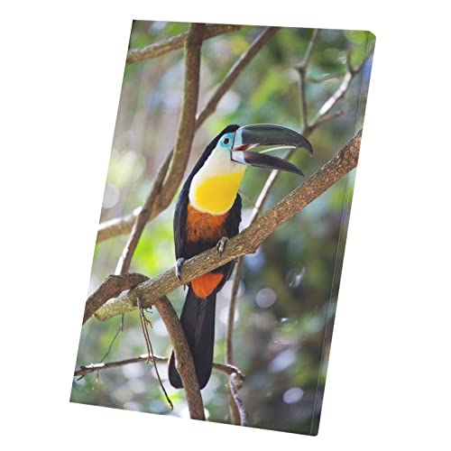 Tableau toucan forêt pour raviver un mur blanc triste