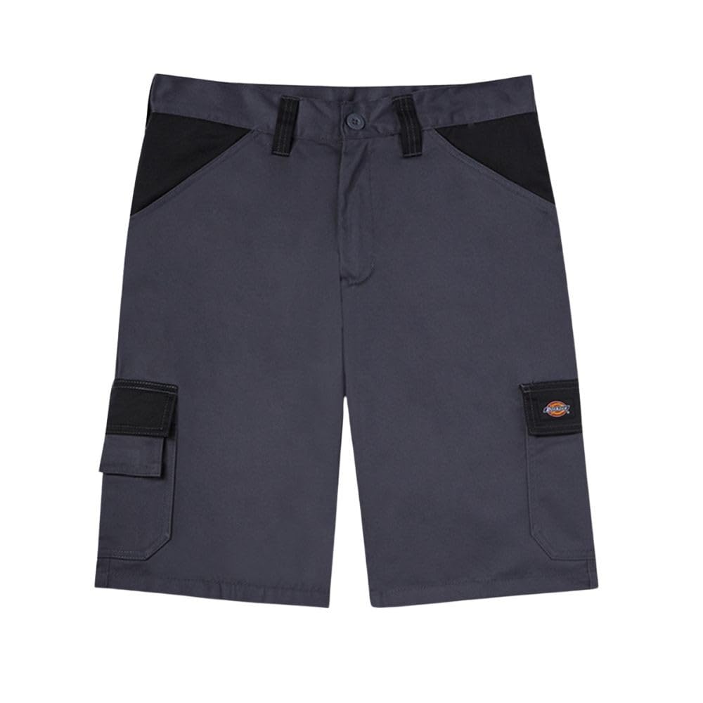 Dickies Short Everyday