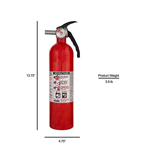 Kidde 1-A:10-B:C Recreational Fire Extinguisher (2-Pack)