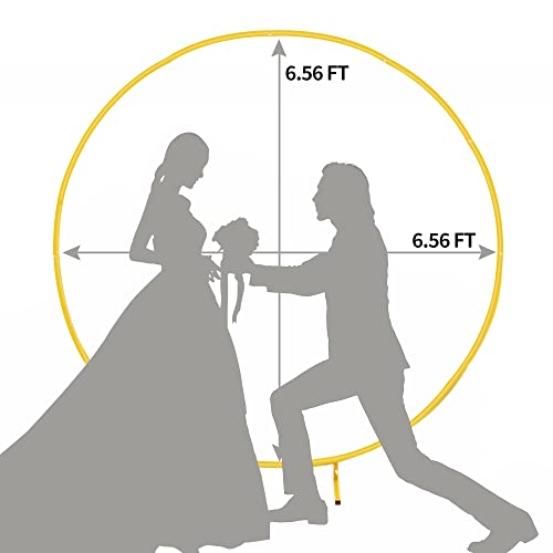 Funny Sunny 6.6Ft Round Backdrop Stand Golden Circle Balloon Stand Kit For Ceremony Birthday Party Decoration, Metal Wedding Arch Flower Ring Stand #TOP2