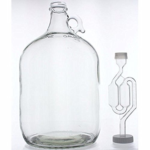 1 Gallon Glass Wine Fermenter-Includes Twin Bubble Airlock And 38Mm Screw Cap With Hole #TOP1
