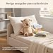 Imagen de Ntwdby Peluche Que Corre