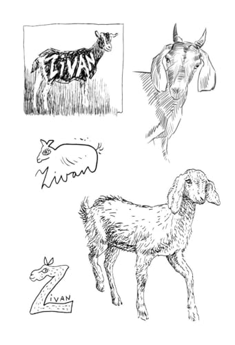 Senza Titolo. Ediz. Illustrata - 3