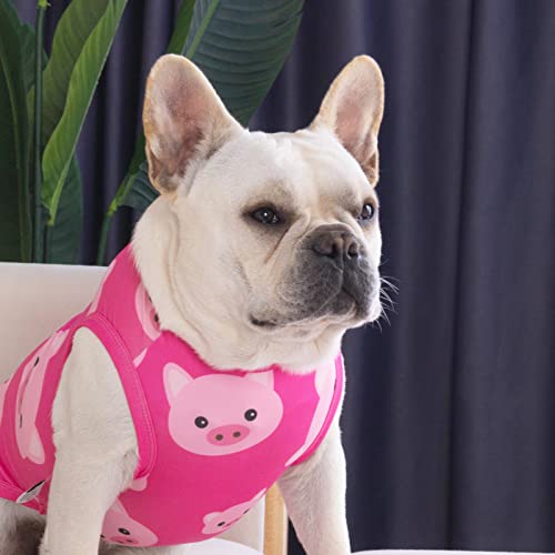 Cutebone Dog Shirts 2-Pack Soft Pet Clothes Breathable Summer Vest For Small Puppy And Stretchy Cat Apparel 2Bx09S #TOP4