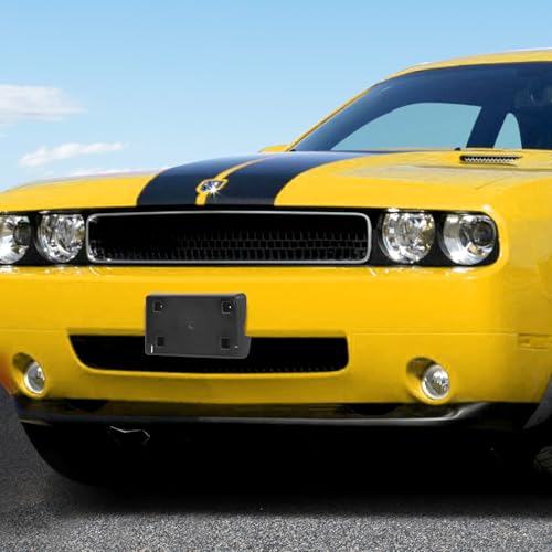Soporte para placa de matrícula: repara el frontal de tu Challenger 2008-2010 5