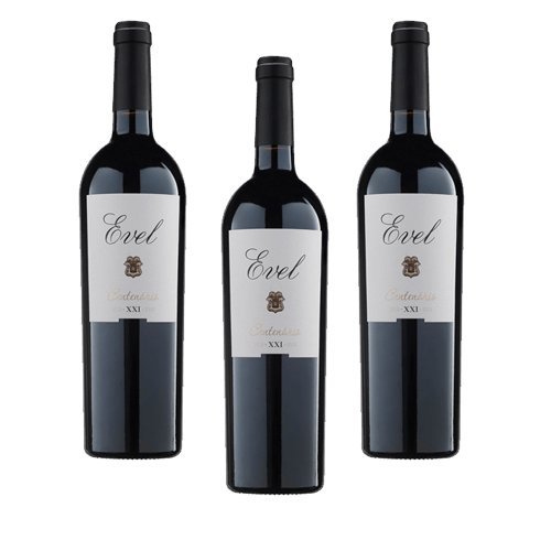 Evel XXI: Vino Tinto Pack de 3 – Sabor y Elegancia Evel XXI: Vino Tinto Pack de 3 – Sabor y Elegancia