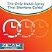 Zicam Cold Remedy No-Drip Nasal Spray with Cooling Menthol & Eucalyptus, 0.5 Fl Oz (Pack of 2)