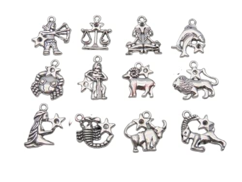 Vision4ever 12Pcs Set Tibetan Silver Zodiac Charms Horoscope Star Sign Jewellery Charms for DIY Jewellery Making