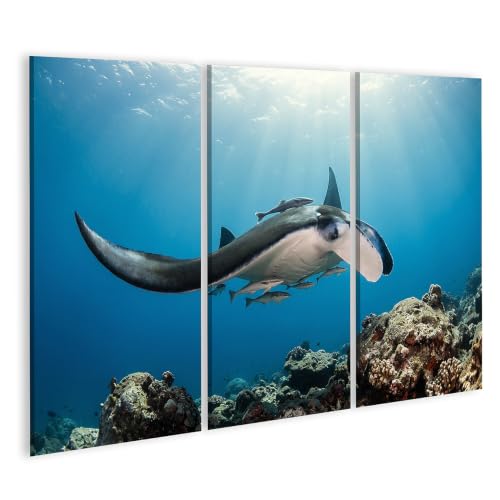 Impression sur toile islandburner de haute qualité artistique en 3 volets